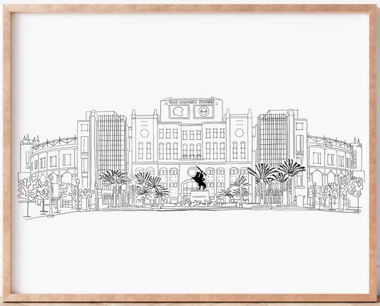 Doak Campbell Stadium Print [Digital Download]